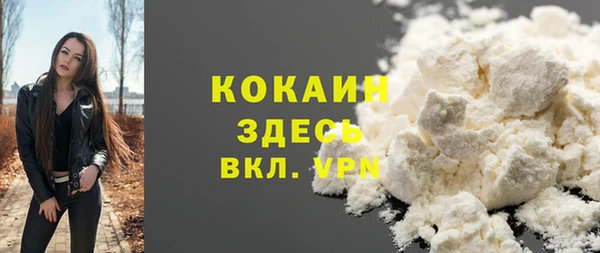 Альфа ПВП Верея