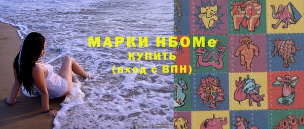 Альфа ПВП Верея