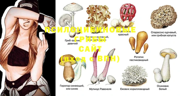MESCALINE Верхний Тагил