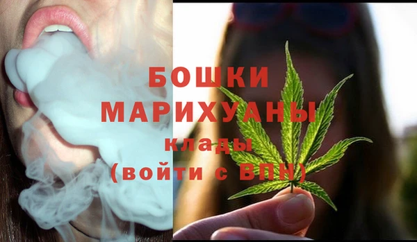 Альфа ПВП Верея